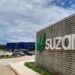 Suzano